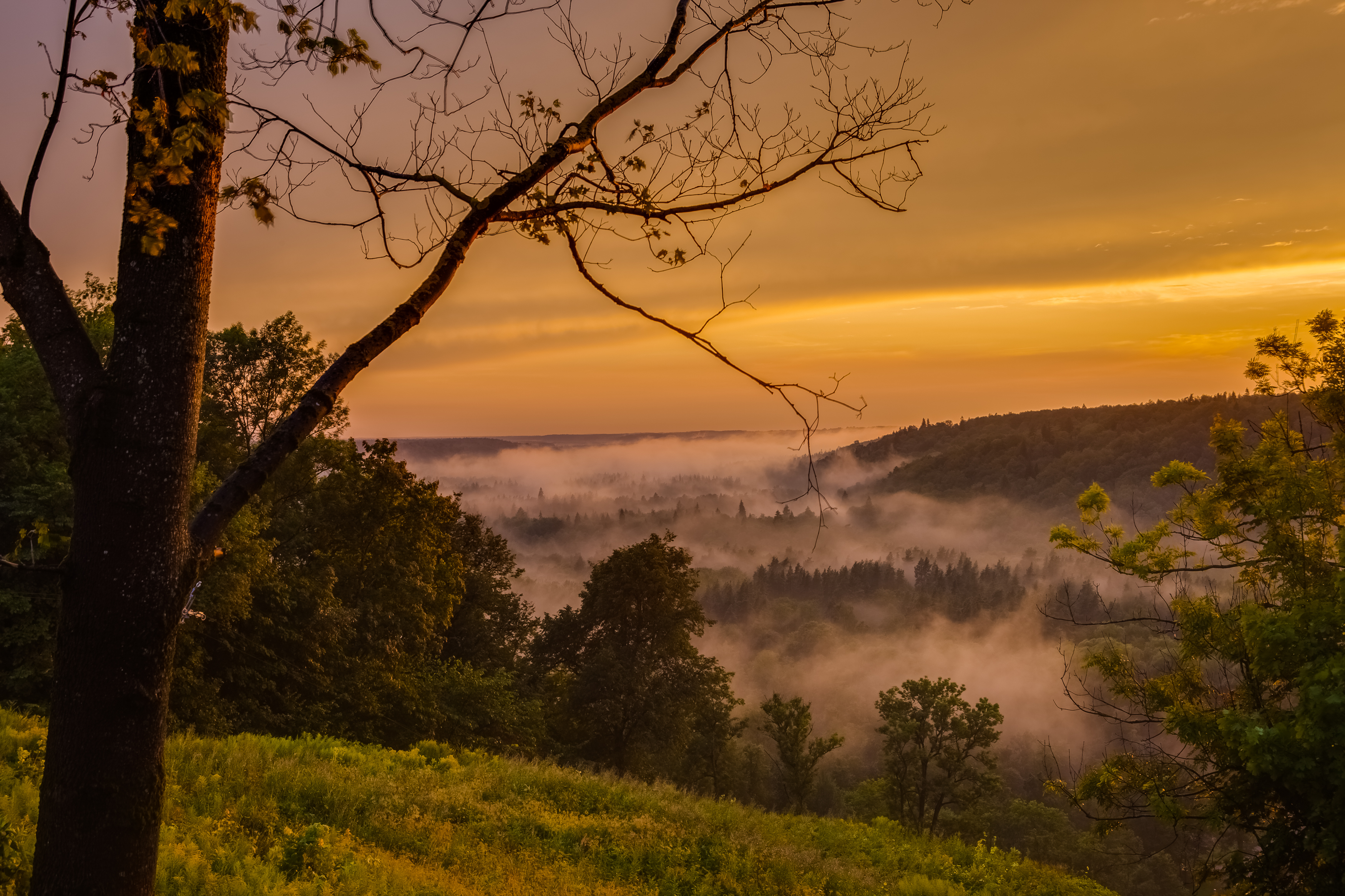 Gauja National Park     Destinations     Wellton Hotels  Riga